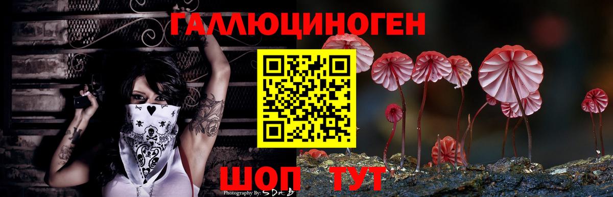 Электросталь  Галлюциногенные грибы GOLDEN TEACHER  Вход с VPN 
